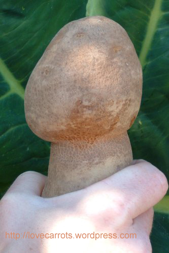 Ooo!  A potato that looks like a penis